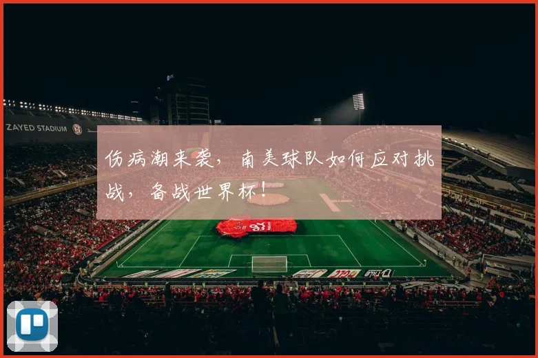 伤病潮来袭,南美球队如何应对挑战,备战世界杯!